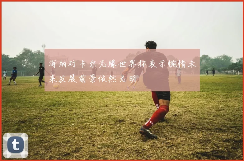 海纳对卡尔无缘世界杯表示惋惜未来发展前景依然光明